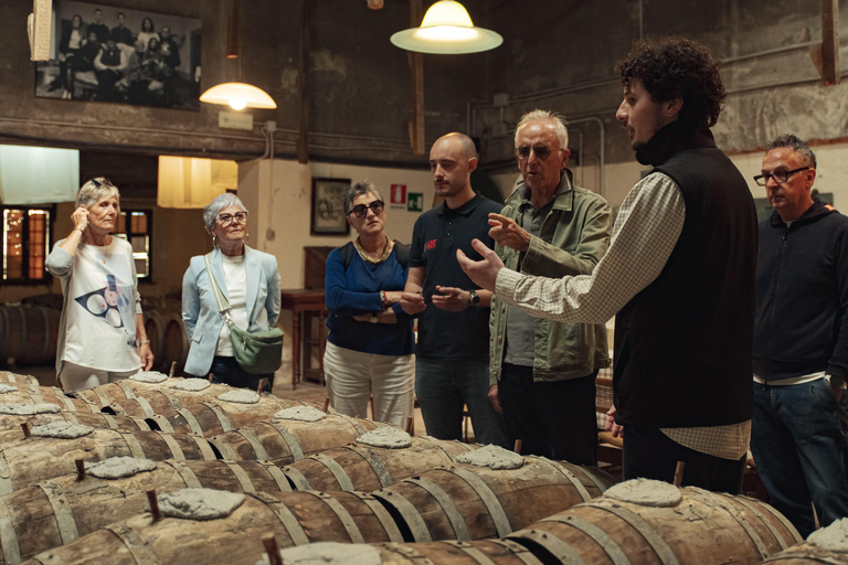 Firenze: caccia al tartufo con pranzo, vino e San GimignanoFirenze: Caccia al tartufo con pranzo, vino e San Gimignano