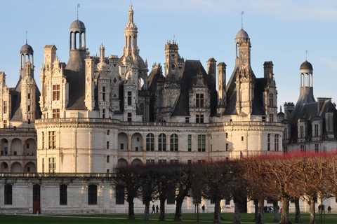 Prywatna wycieczka z Paryża do Chambord, Chenonceau i Amboise