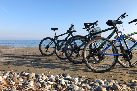 Larnaca: Salt Lake & Cultural Highlights Guided Bike Tour