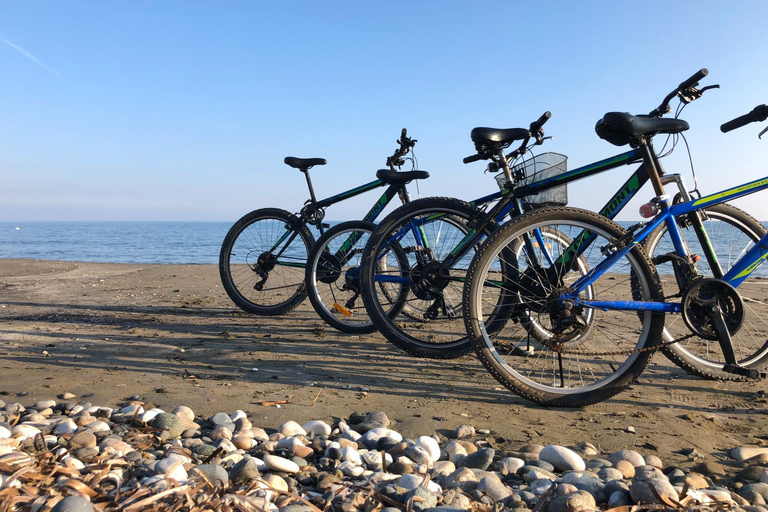 Larnaca: Salt Lake & Cultural Highlights Guided Bike Tour