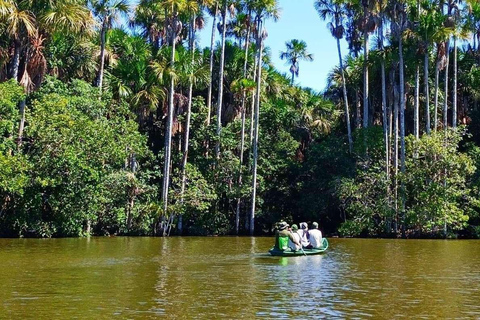 Depuis Tambopata : Randonnée dans la jungle amazonienne et lac Sandoval 1 jour