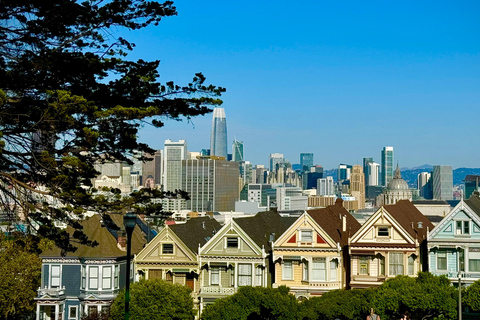 De San Francisco Tour Co. Luxe Eco Stadsrondleiding