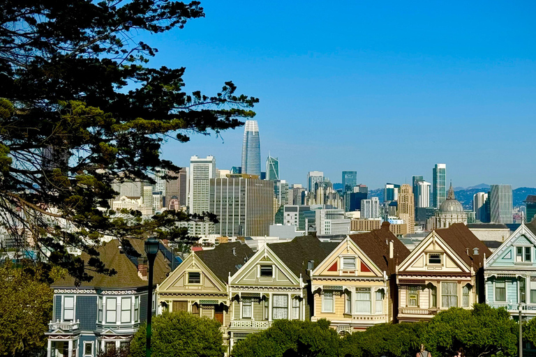 De San Francisco Tour Co. Luxe Eco Stadsrondleiding