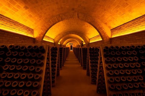 Barcelona: Historic Winery Tour with Tasting