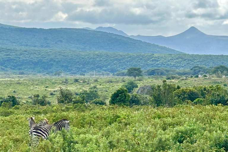 From Arusha: Arusha National Park Guided Day Trip