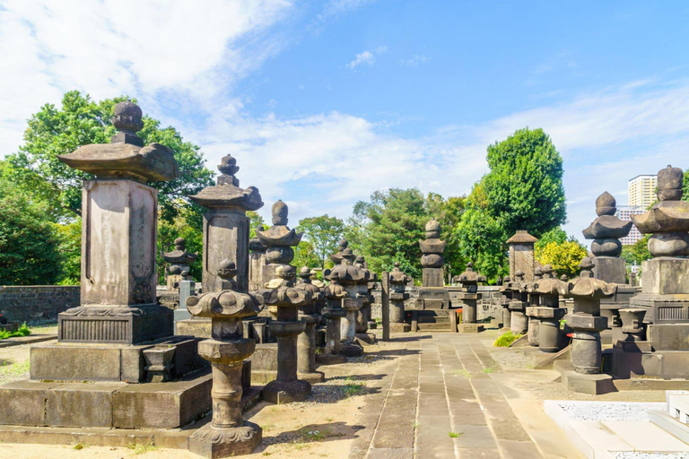 Best of Tokyo: Guided Full Day City Tour with Lunch