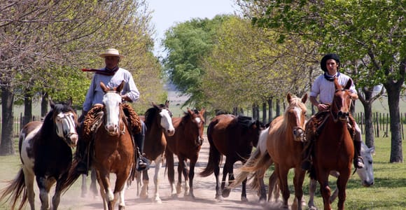 Buenos Aires: Guided Gaucho Day Tour at a Ranch