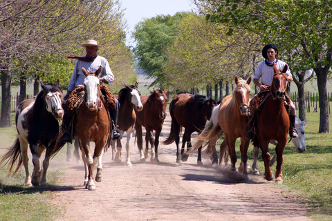 Buenos Aires: Jednodniowa wycieczka z przewodnikiem po ranczu Gaucho