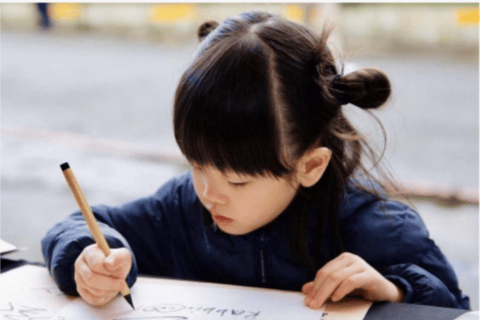 Taipei: Zoo, Maokong Gondola, and Experience Ticket