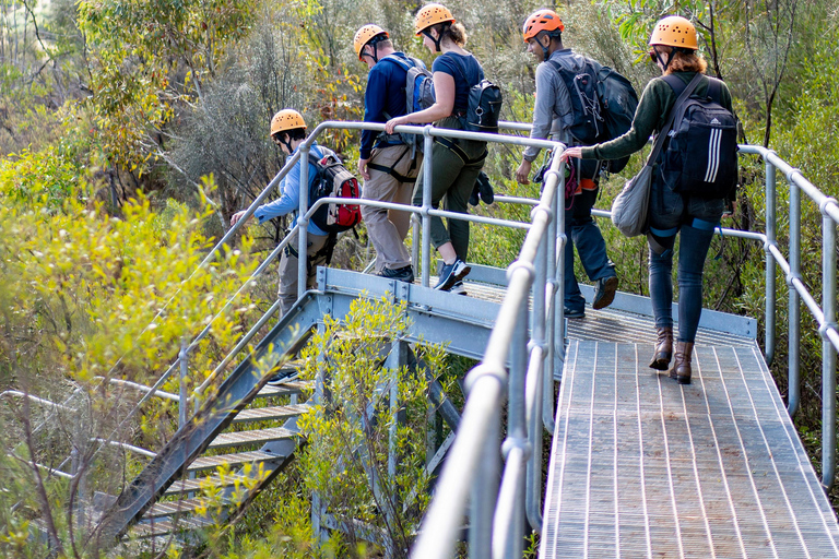 Adelaide: Fleurieu Rock Climb & Gin Tasting