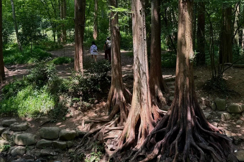 Hangzhou: Hike from Longjing Tea Village to Nine Creeks Group Tour