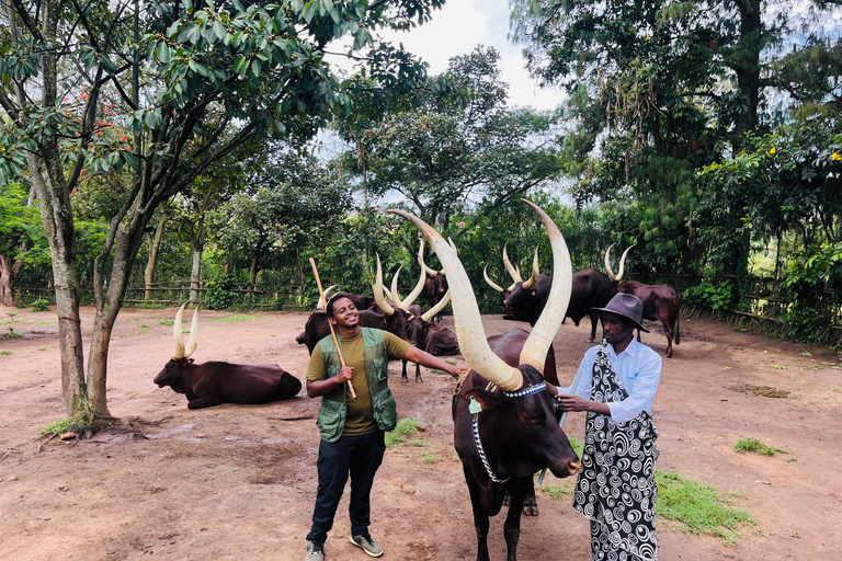 Kigali: Tour cultural por el palacio real, el museo y el memorial.Kigali: Visita cultural al palacio real, el museo y el memorial