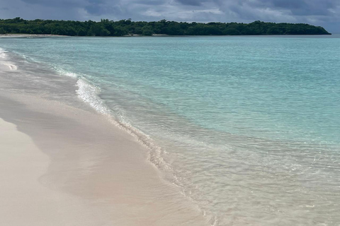 Bayahibe: Saona Island VIP Tour with Lunch & Drinks