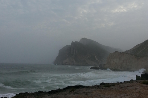 Salalah: Private Mughsail & Frankincense Half-Day Tour Coach (21–45)