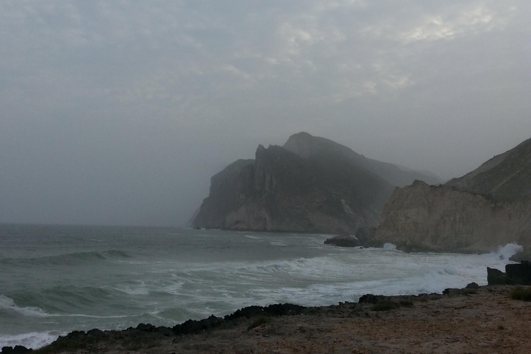 Salalah: Private Mughsail & Frankincense Half-Day Tour Coach (21–45)