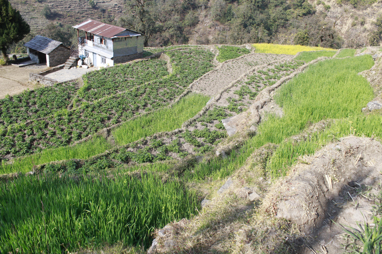 Desde Katmandú: Senderismo de 15 días por el Campo Base del Annapurna con Yoga