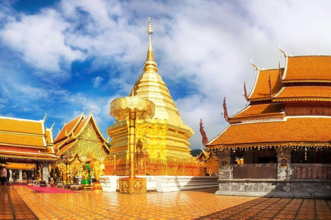 Doi Suthep-templet, orkidéodling och Sticky Waterfall med lunch