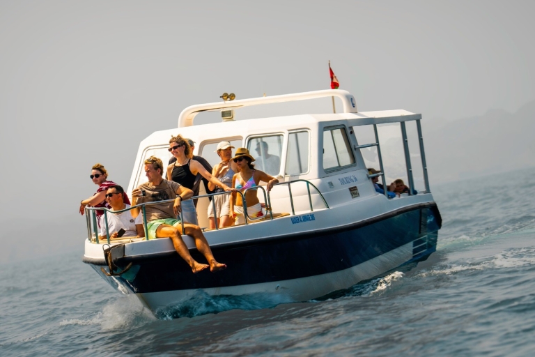 Delfinbeobachtung und Schnorchelausflug in Muscat