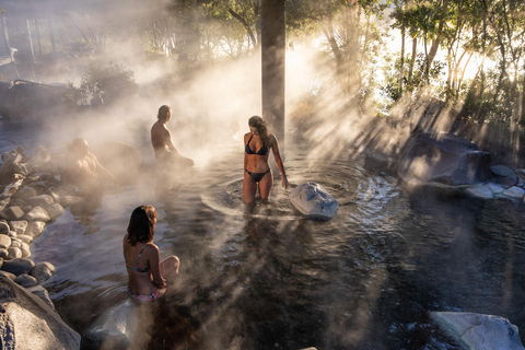 Vanuit Auckland: Rotorua hoogtepunten groepstour