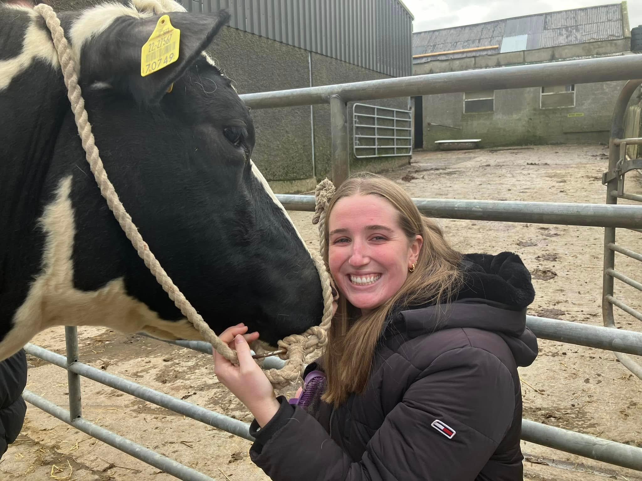 Campview Farm, Ballyshannon: Kuh streicheln und erleben
