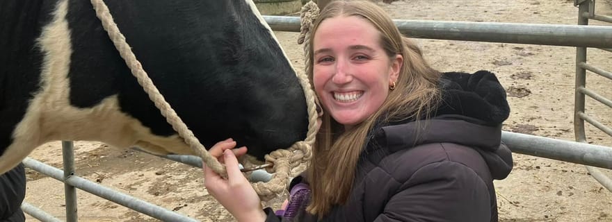 Campview Farm, Ballyshannon : expérience de câlinage d'une vache