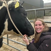 Campview Farm, Ballyshannon: Cuddle a Cow Experience