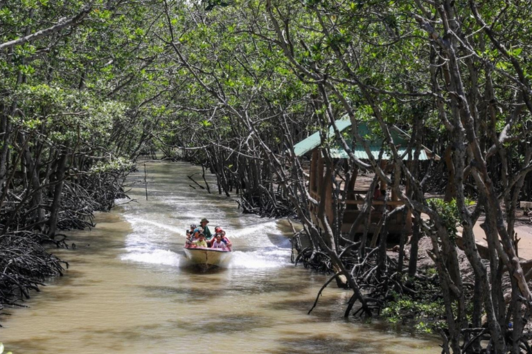 CAN GIO BISOPHERE RESERVE