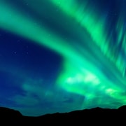 Lofoten: Private Nordlichter-Tour im Premium-Mercedes