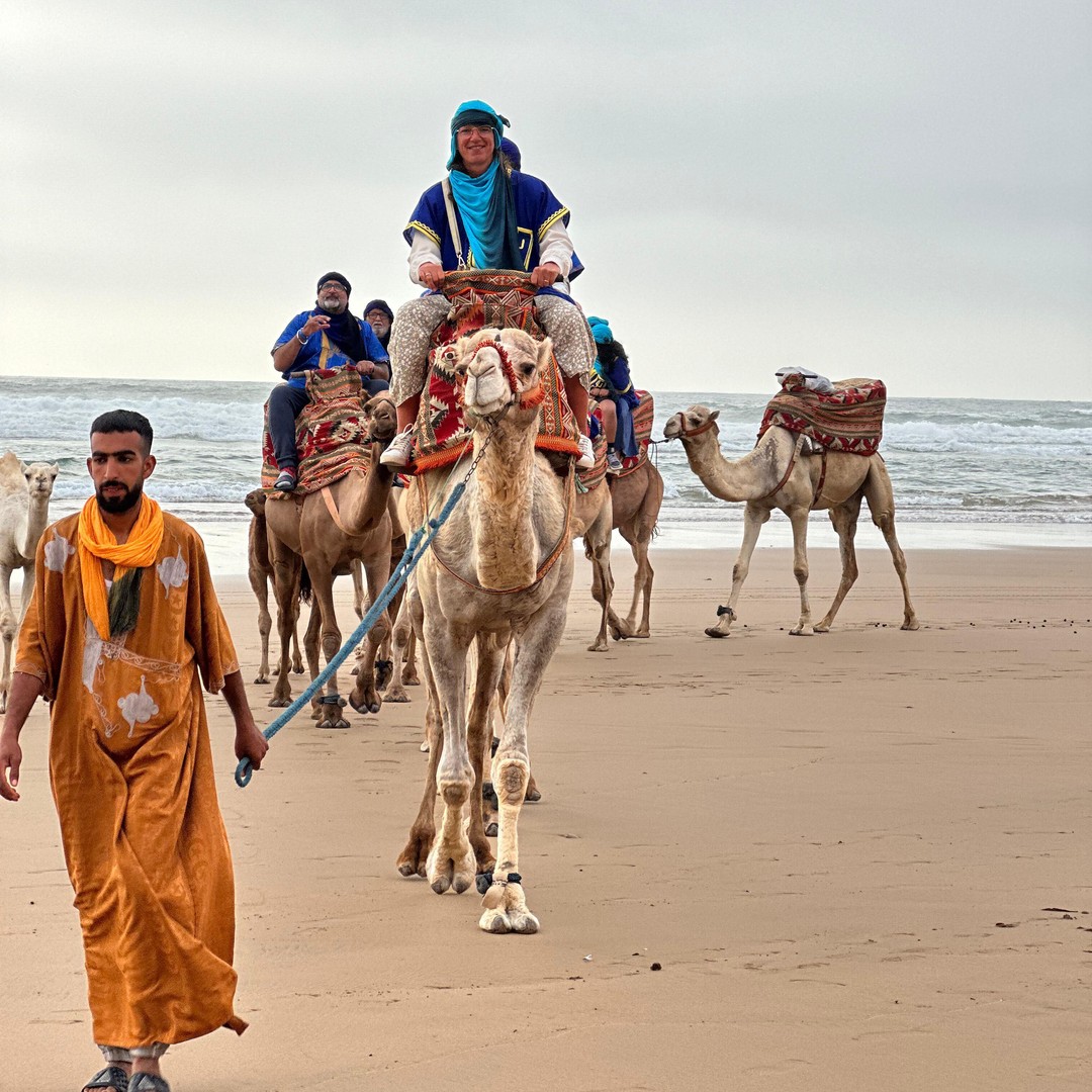 Agadir/Taghazout : balade à dos de chameau au coucher du soleil avec barbecue et spectacle musical