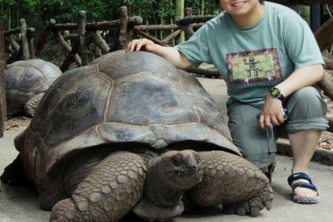 ZANZÍBAR: isla de la Prisión, natación en cuevas y Laguna Azul