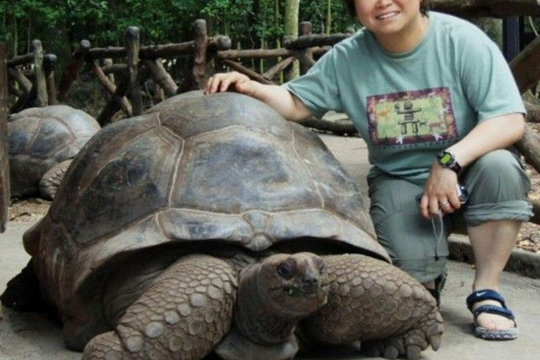 ZANZÍBAR: isla de la Prisión, natación en cuevas y Laguna Azul