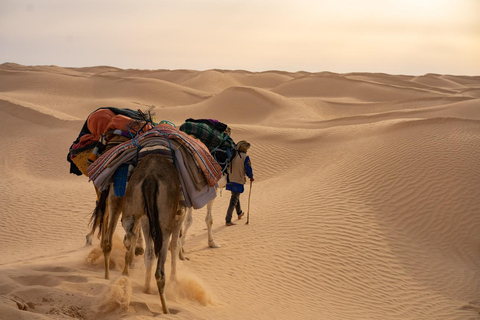 Van Djerba : : Zonsondergang en sterrenoorlogen AT ksar ghilaine