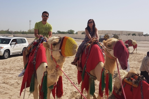 Katar: Erlebe eine halbtägige Wüstensafari mit Rundtransfer