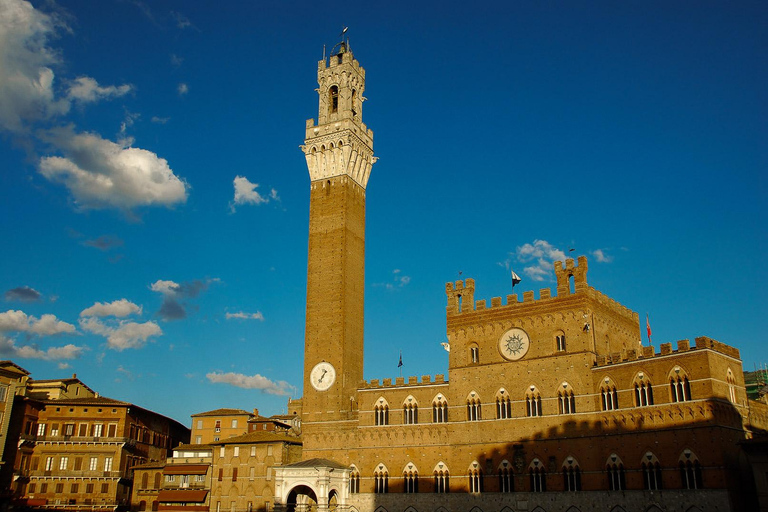 Desde Florencia: Pisa, San Gimignano y Siena Tour privado