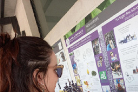 From Avignon: Lavender and Beyond Afternoon Tour