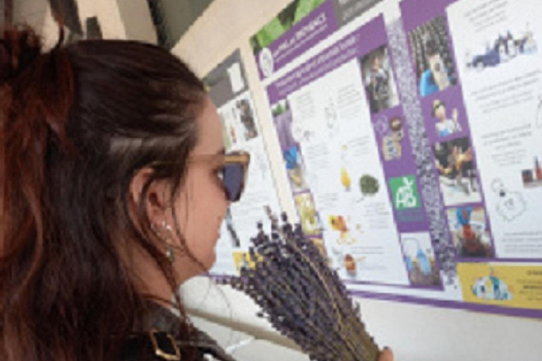 From Avignon: Lavender and Beyond Afternoon Tour