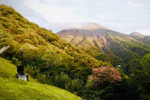 Tokyo: 5-Day Private Tour to Hiroshima with Transport