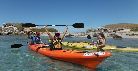 From Perth: Rockingham Kayak Tour to Seal & Penguin Islands