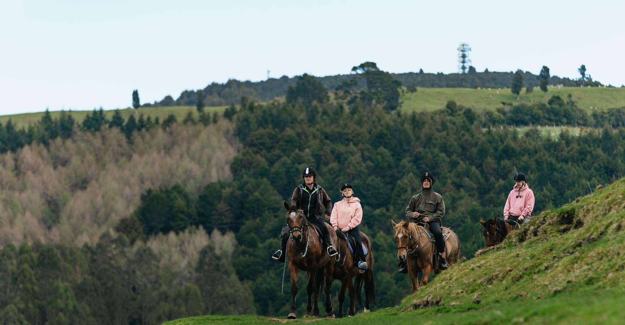 ロトルア、ンゴトハ山でのガイド付き乗馬日旅行 - Housity