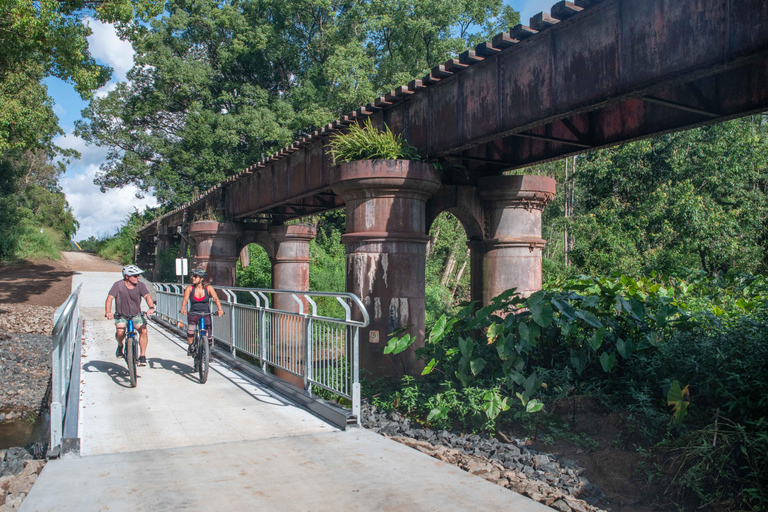 Byron Bay: Northern Rivers Rail Trail E-Bike Hire & Shuttle E-bike hire & return transport to Northern Rivers Rail Trail