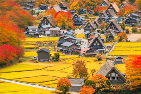 Shirakawa-go Snow Illumination Festival Tour from Nagoya VIP Small group up to 9-guests