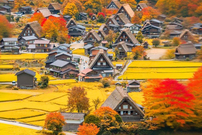 Shirakawa-go Snow Illumination Festival Tour from Nagoya VIP Small group up to 9-guests