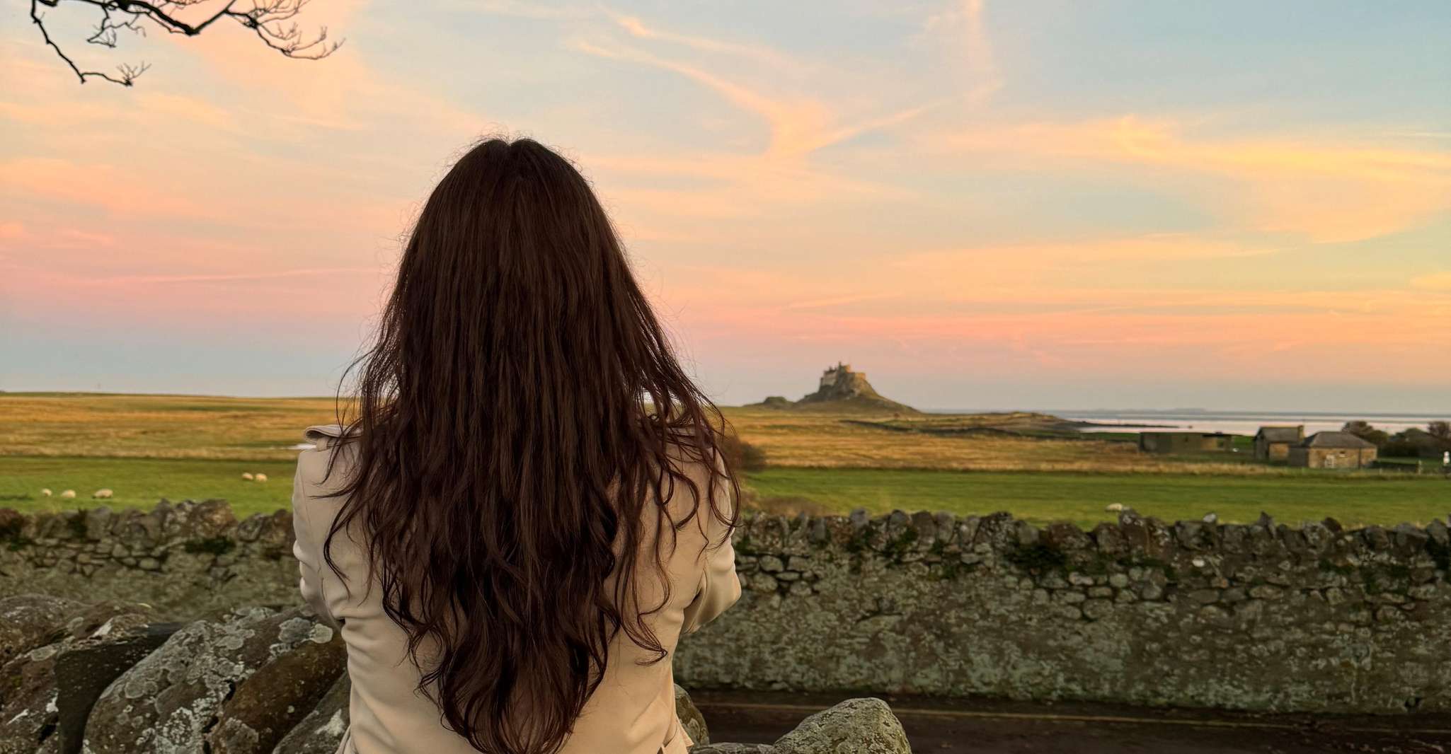 Edinburgh: Bamburgh Castle, Northumberland and Alnwick Trip photo 8