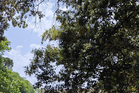 Montpellier: Tour guidato di luoghi insoliti in bicicletta elettrica