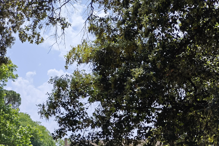 Montpellier: Tour guidato di luoghi insoliti in bicicletta elettrica