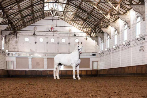 Amsterdam: De Haar Castle, Miffy Museum & Equestrian Tour