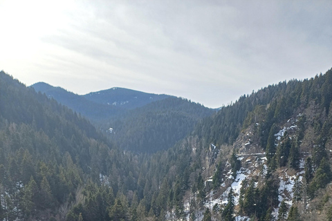 博罗韦茨徒步和雪橇之旅，参观比斯特里察皇家宫殿博罗维茨徒步和雪橇之旅，参观比斯特里察皇家宫殿