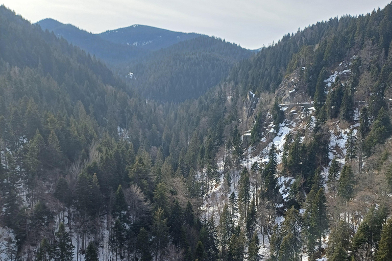 博罗韦茨徒步和雪橇之旅，参观比斯特里察皇家宫殿博罗维茨徒步和雪橇之旅，参观比斯特里察皇家宫殿