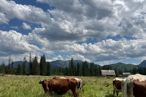 Kraków: Zakopane Horse ride & Thermal Baths Day Trip