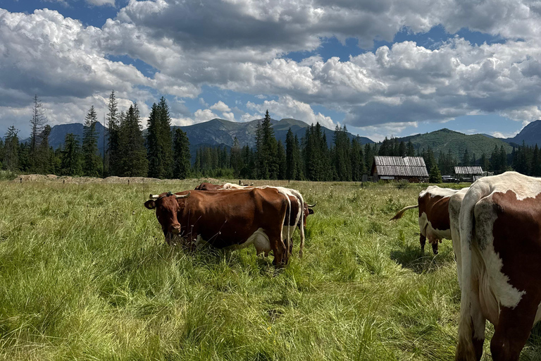 Kraków: Zakopane Horse ride & Thermal Baths Day Trip